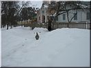 Провожает... Провожает...