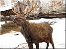 �����