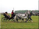 ������ ������!