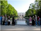 Москвичи Москвичи