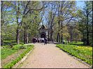 Пора цветения Пора цветения