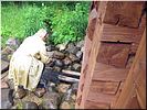 Испить святой водицы Испить святой водицы