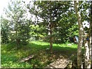 На месте усадьбы Олениных На месте усадьбы Олениных