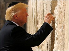 ����� ���� ������ ����������� ���, ���������� ������� ����������, ��� 2017 �.