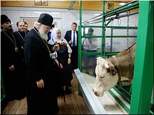 В праздник Казанской иконы Божией Матери Святейший Патриарх Кирилл возглавил престольные торжества на подворье Покровского монастыря в подмосковном селе Марково и посетил подсобное хозяйство, 21.07.20 В праздник Казанской иконы Божией Матери Святейший Патриарх Кирилл возглавил престольные торжества на подворье Покровского монастыря в подмосковном селе Марково и посетил подсобное хозяйство, 21.07.20