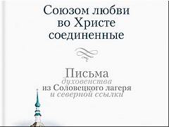 ������� ����������� �� ������� � VIII ��������� ���������� �� ������ ���� ����, 14.10.2020