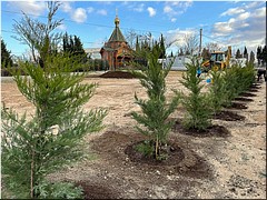 ����������� ����� � ����� ������������ ������ ������������ �������� � �����������, 25.11.2021