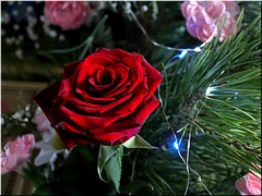 ���������� ������: �����������, ����� ���� �� ��� �������� ��������� ������ �� ��������, � ��� � ��� ���������, 14.01.2022 