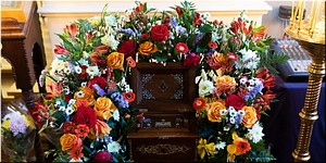 � ����������� �������� ���������� ������������ �������� � ������� ����� ������ �������� ������� ��� ��� ����� �.�. ����������, 25.01.2022