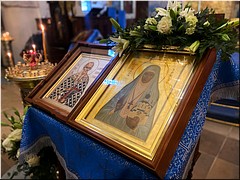 �����-���������� ������� ���������� �������� 113-����� �� ��� ��������, 23.02.2022