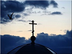 ��������� �������������� � ��������� �������� ������ ���������� ������������ ������ �� �������� � ��������, ������ 2022 �.