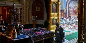 � ������� ����� ��������� �������� ������ �������� ��������� � ���� ���� �������� ���������������� �����, 20.04.2022