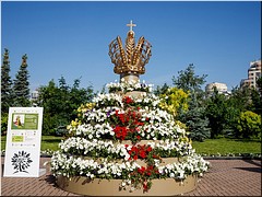 ����� ��������������� ��������� ������ ������ ������� � �������������, 24.07.2022