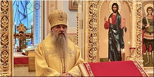 ���������� ���������� �������� ������������ �������� � ���������� �� �������� �������, 17.10.2022