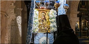 � ������������ ��������� ���������� ������������ � ����� ����� ������ ������ ������������, 25.11.2022