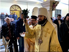 В Сирии восстановили и освятили два православных храма, 22.01.2023 В Сирии восстановили и освятили два православных храма, 22.01.2023